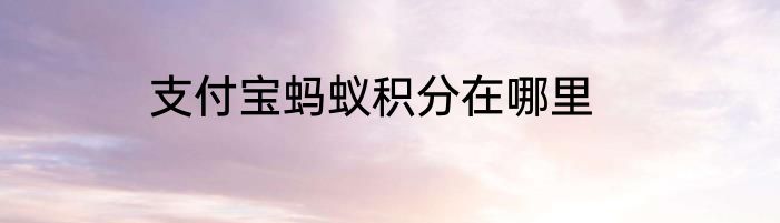 支付宝蚂蚁积分在哪里