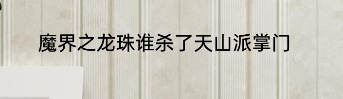 魔界之龙珠谁杀了天山派掌门