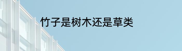 竹子是树木还是草类