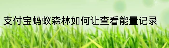 支付宝蚂蚁森林如何让查看能量记录