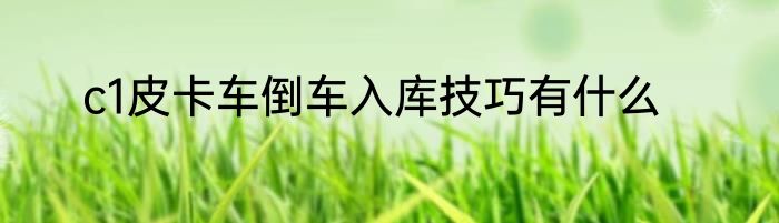 c1皮卡车倒车入库技巧有什么