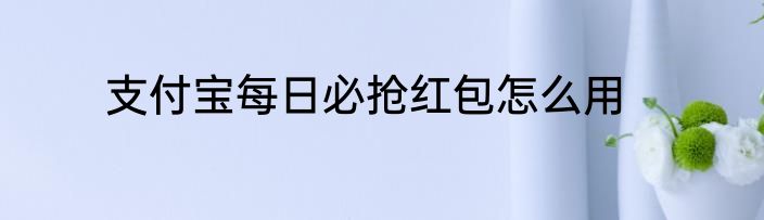 支付宝每日必抢红包怎么用