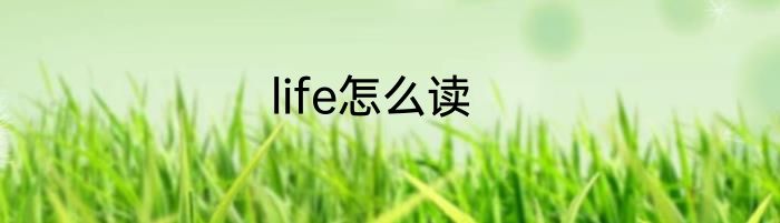 life怎么读