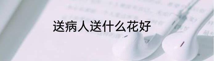 送病人送什么花好