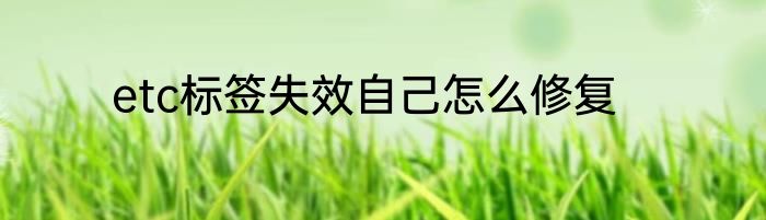 etc标签失效自己怎么修复