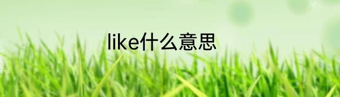 like什么意思