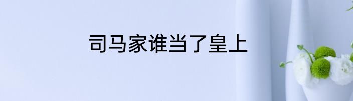 司马家谁当了皇上