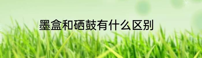 墨盒和硒鼓有什么区别