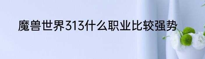 魔兽世界313什么职业比较强势