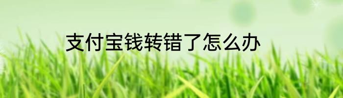 支付宝钱转错了怎么办