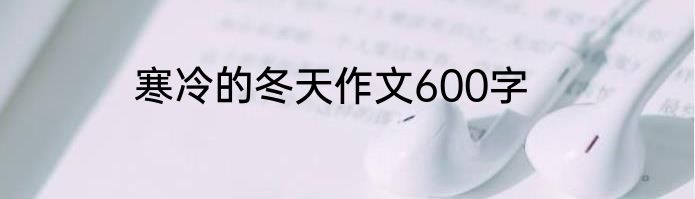 寒冷的冬天作文600字