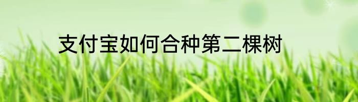 支付宝如何合种第二棵树