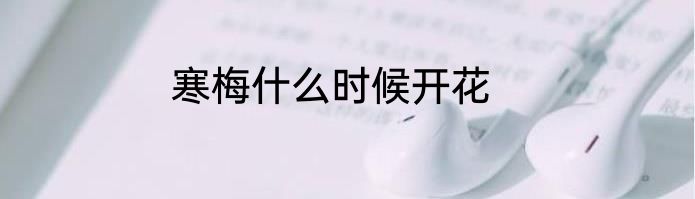 寒梅什么时候开花