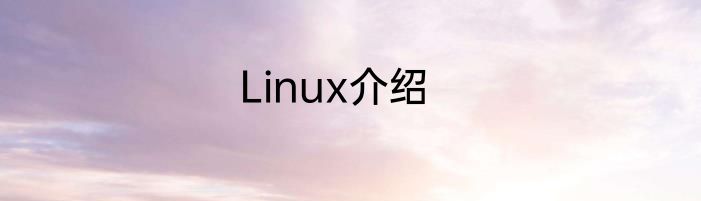 Linux介绍