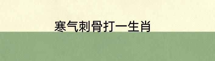 寒气刺骨打一生肖