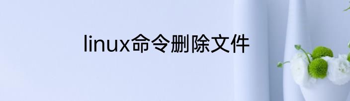 linux命令删除文件