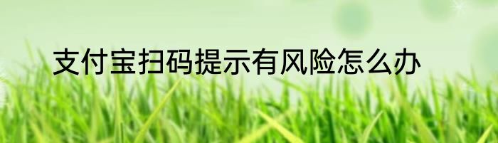 支付宝扫码提示有风险怎么办
