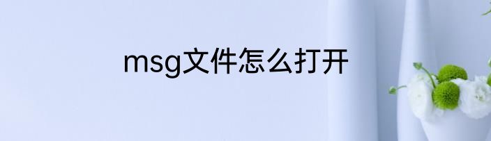 msg文件怎么打开