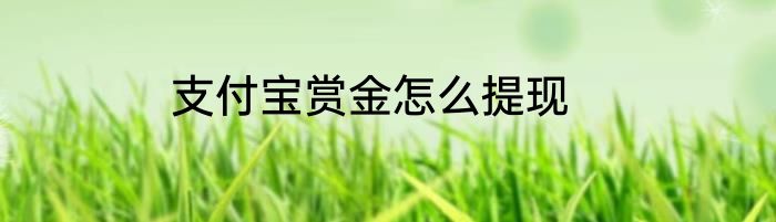 支付宝赏金怎么提现