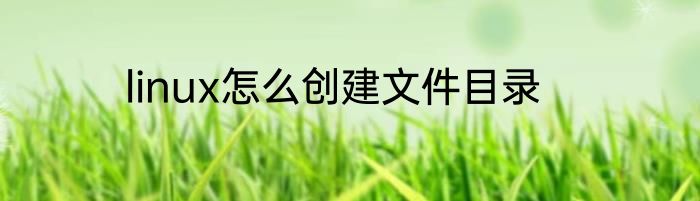 linux怎么创建文件目录