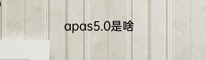 apas5.0是啥