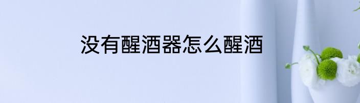 没有醒酒器怎么醒酒