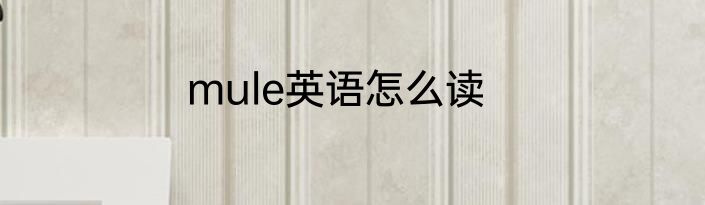 mule英语怎么读