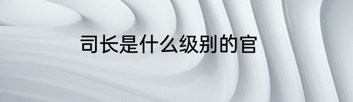 司长是什么级别的官