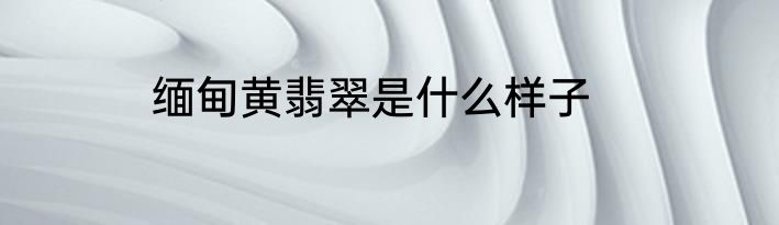 缅甸黄翡翠是什么样子