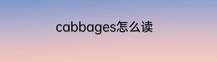 cabbages怎么读