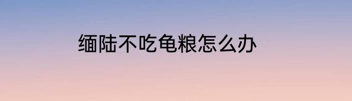 缅陆不吃龟粮怎么办