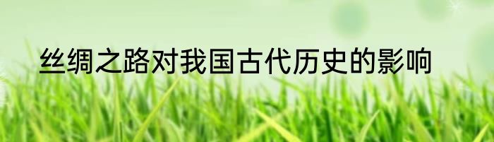 丝绸之路对我国古代历史的影响