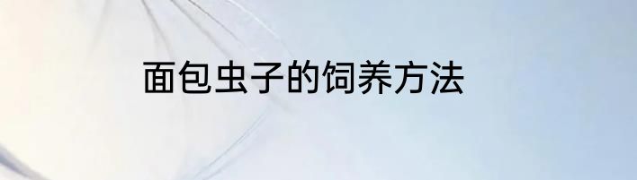 面包虫子的饲养方法