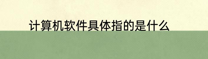 计算机软件具体指的是什么