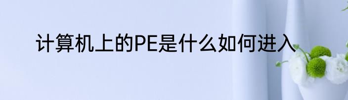 计算机上的PE是什么如何进入