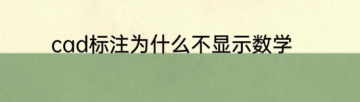 cad标注为什么不显示数学