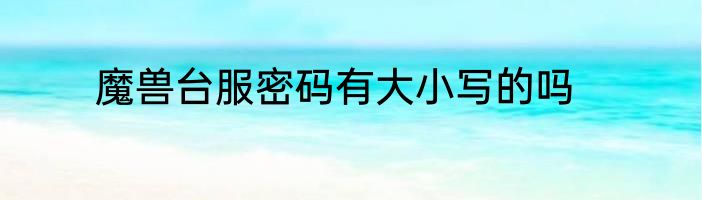 魔兽台服密码有大小写的吗