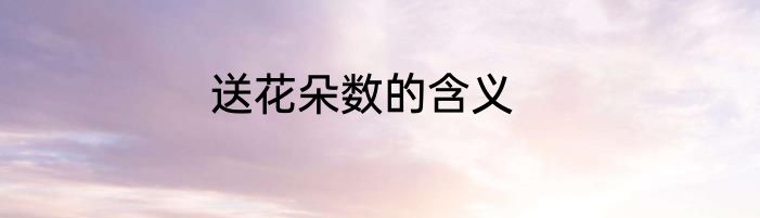 送花朵数的含义