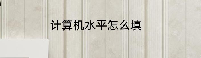 计算机水平怎么填