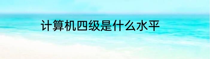 计算机四级是什么水平