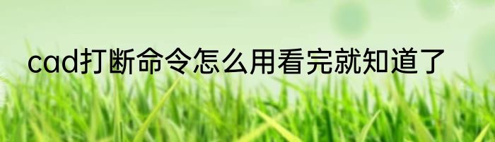 cad打断命令怎么用看完就知道了