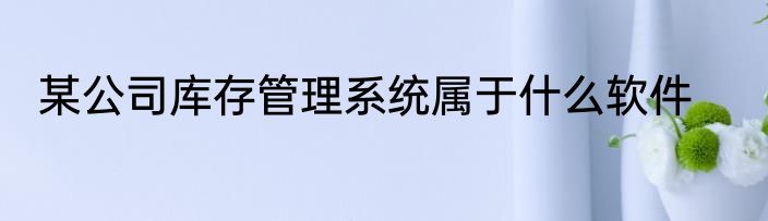 某公司库存管理系统属于什么软件