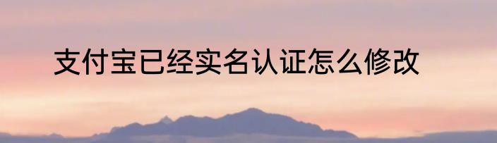 支付宝已经实名认证怎么修改