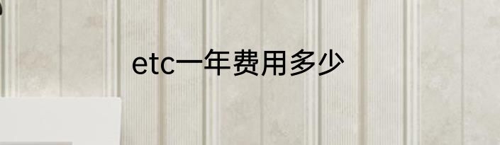 etc一年费用多少