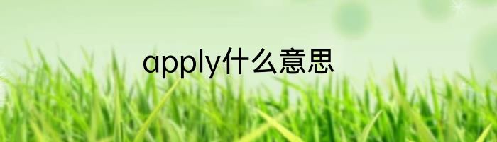 apply什么意思