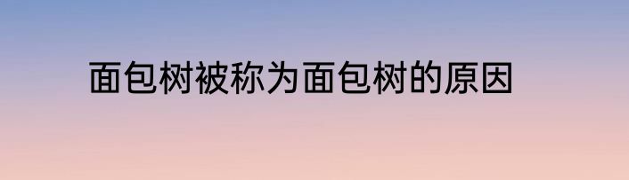 面包树被称为面包树的原因