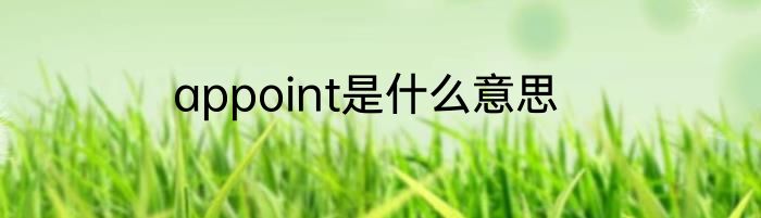 appoint是什么意思