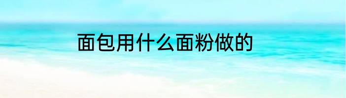 面包用什么面粉做的