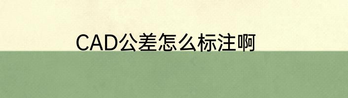 CAD公差怎么标注啊