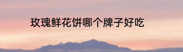 玫瑰鲜花饼哪个牌子好吃